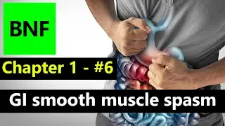 📘 BNF Chapter 1 &ndash; Part 6 | 🧠 GI Smooth Muscle Spasm Explained | Antispasmodics & Direct Relaxants 🔥