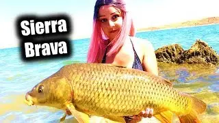 Sesión Carpfishing Sierra Brava - Parte 2 | Sacamos mas de 20 carpas!!