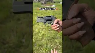 Shooting the Chiappa Rhino DS30 357 Mag Revolver #shorts #shooting #gun #357