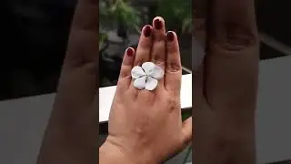 Nature's 🎁 Gift🥰🥰