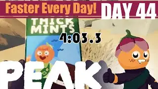 PEAK Shore Speedrun | Fastest run of 2026! (4:03.3 | Day 44) 🏃&zwj;➡️😲