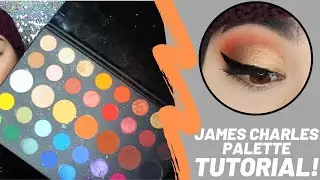 James Charles Palette Tutorial! | HeyIt'sShai