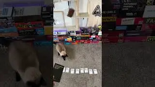 Cards Against Humanity