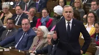 Carney: 