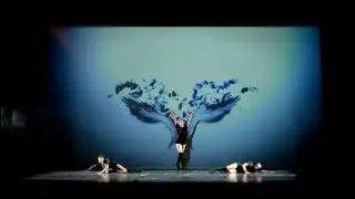 ANGELO NERO