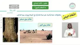 ما النظام البيئي؟ - العلوم - ثالث ابتدائي