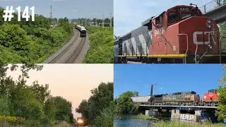 Best train catch in the summer 2025 #141