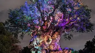 Tree of Life Awakenings Night Show 4K HDR - Animal Kingdom, Walt Disney World