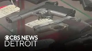 Michigan House Republicans introduce a repeal to state red flag laws