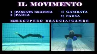 Rana Subacquea - Aggiornamento / Update 2011