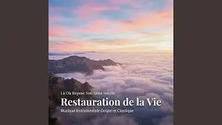 Lumi&egrave;re &eacute;ternelle