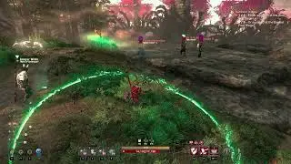 [New World] Do not attack the master