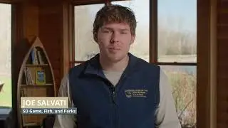 Aquatic Invasive Species Curriculum - Introduction