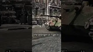 Last firepower shown by the Germans : Tiger II Tanks