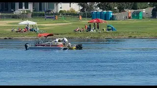Milfoil 
