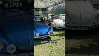 Bora falar sobre os Super Beetle (1302 e 1303)! #vw #fusca #superbeetle #fuscaalemao #aircooled