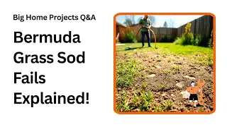 Bermuda Grass Sod Fails Dallas Homeowners Must Avoid