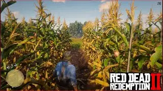 MAGICIANS FOR SPORT - Red Dead Redemption 2 Walkthrough Part - 26