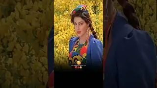 Beqabu Ho Gaya | Beqabu | Sanjay Kapoor, Mamta Kulkarni | Udit Narayan, Alka Yagnik- 90's Love Songs