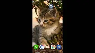 How to clean mobile memory cache and free up space android Marshmallow