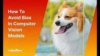 Preventing Algorithmic Bias in Computer Vision Models