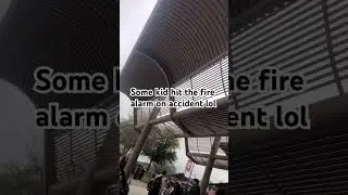 Who pulled the fire alarm?