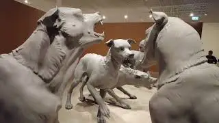 Ron Mueck - Encounter @AGNSW