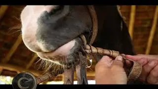 Como usar o bocal de couro?