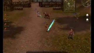 Metin2 CZ duel