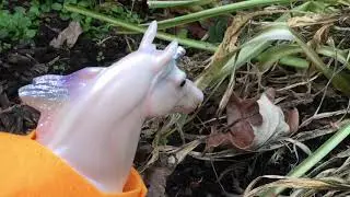 Capture... TAG| season:1 Episode:1| Breyer Horse Series