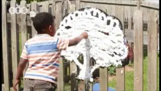 Mirror Trees from TTS Group