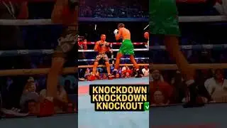 Edgar Berlanga gets stopped by Sheeraz 🔥 #boxing #boxinghighlights #sheeraz
