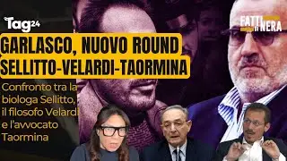 Garlasco, nuovo round Sellitto-Velardi-Taormina su Sempio, Lovati e Venditti