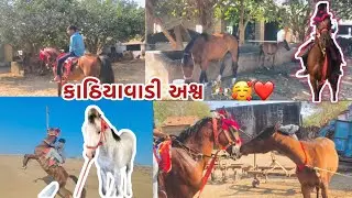 આજ ગ્યા આપણે ઘોડા ખેલવવા || ઘોળી એક ભાઈ ને ટારી દેત 😅
