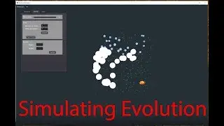 Simulating Evolution - 3 (Final Video)