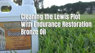 Cleaning the Lewis Family Plot at Greenlawn Memorial Park | Testing Endurance Bronze Oil