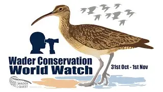 WADER CONSERVATION WORLD WATCH
