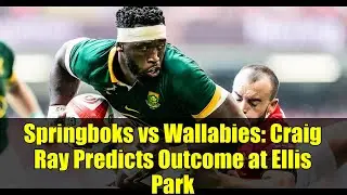 Springboks vs Wallabies: Craig Ray Predicts Outcome at Ellis Park