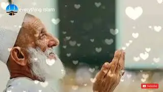 Very beautiful💗💗💗WhatsApp status 2019