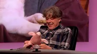 QI - Pigs
