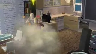 Sims fight