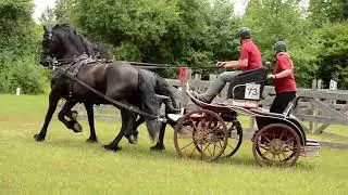 Tri-County Carriage Competition July 16 Video 484