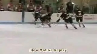 Ths sports Hockey - Tigers score