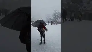 Snowfall at The Ridge Shimla ❣
