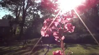 Sony HDR-CX100 Quality Test