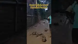 heavy Rain in Mandi Himachal Pradesh #rain #landslide #weather