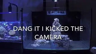 Red Sea E-260 Build- Aquascape