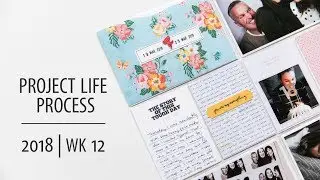 Project Life&reg; Process Video 2018 | Week 12
