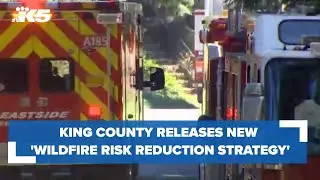 King County releases new 'Wildfire Risk Reduction Strategy'