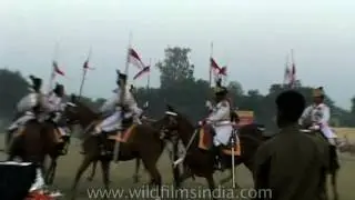 Horse Polo match in action, Delhi